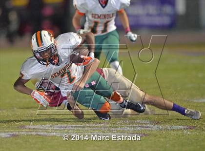 Thumbnail 1 in Seminole @ Countryside photogallery.