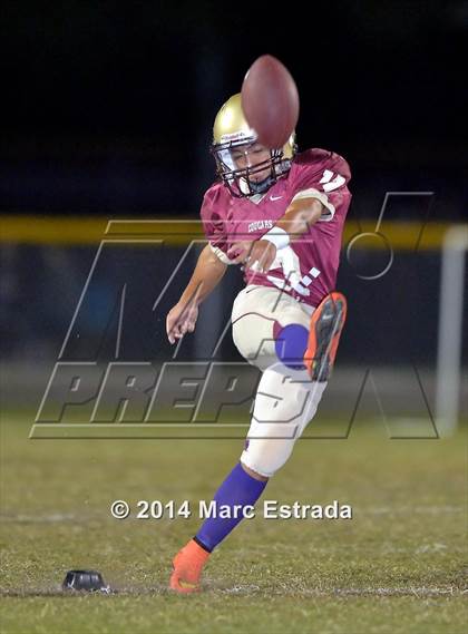 Thumbnail 3 in Seminole @ Countryside photogallery.