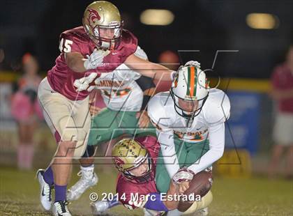 Thumbnail 1 in Seminole @ Countryside photogallery.