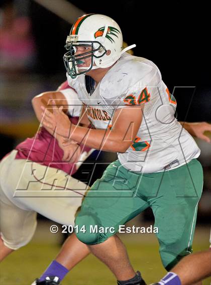 Thumbnail 1 in Seminole @ Countryside photogallery.