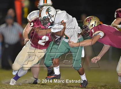 Thumbnail 2 in Seminole @ Countryside photogallery.