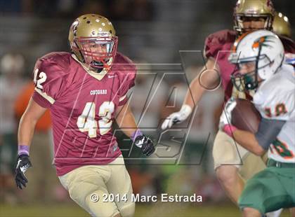 Thumbnail 3 in Seminole @ Countryside photogallery.