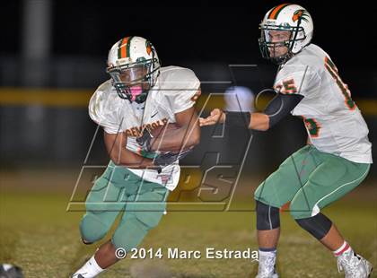 Thumbnail 3 in Seminole @ Countryside photogallery.