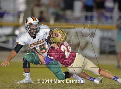 Thumbnail 3 in Seminole @ Countryside photogallery.