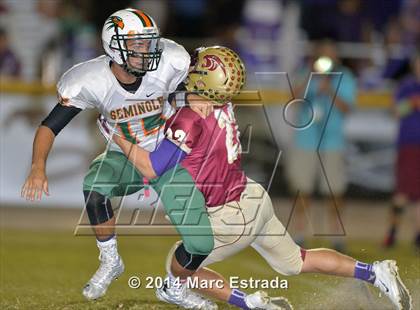 Thumbnail 2 in Seminole @ Countryside photogallery.