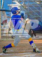 Photo from the gallery "Muir @ Burbank"