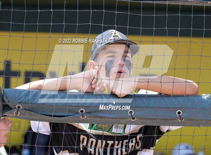 Thumbnail 1 in D'Hanis vs. Abbott (UIL 1A Baseball Semifinal) photogallery.