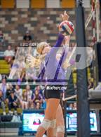 Photo from the gallery "Carlsbad @ Sage Creek"
