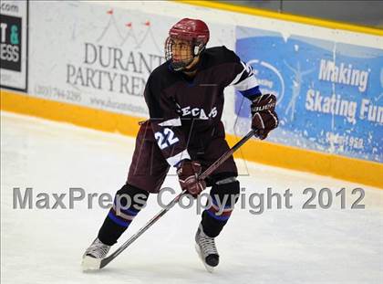 Thumbnail 3 in Brookfield/Bethel/Danbury @ New Fairfield/Immaculate photogallery.