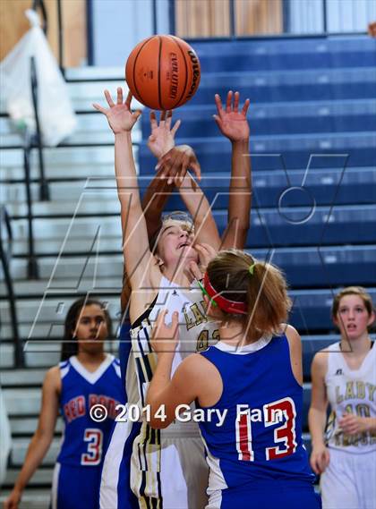 Thumbnail 3 in Red Bank @ Soddy Daisy photogallery.