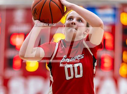 Thumbnail 1 in Logan Elm @ Alexander photogallery.