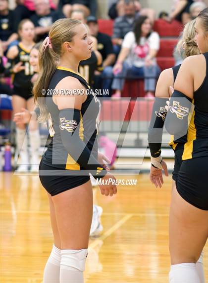 Thumbnail 2 in Royal vs Sealy photogallery.