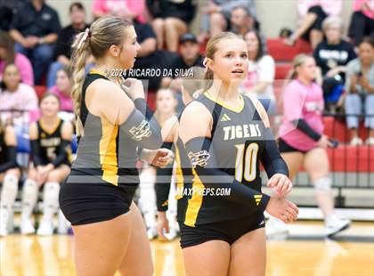 Thumbnail 3 in Royal vs Sealy photogallery.
