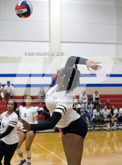 Thumbnail 1 in Royal vs Sealy photogallery.