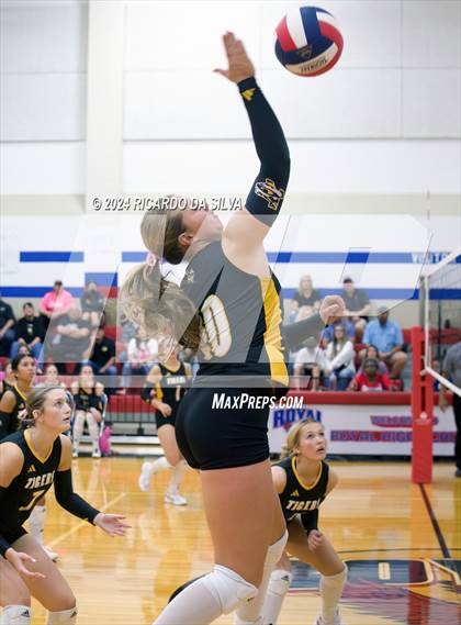 Thumbnail 3 in Royal vs Sealy photogallery.