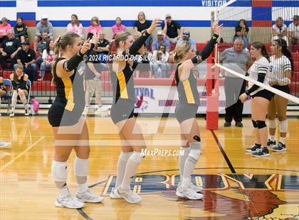 Thumbnail 3 in Royal vs Sealy photogallery.