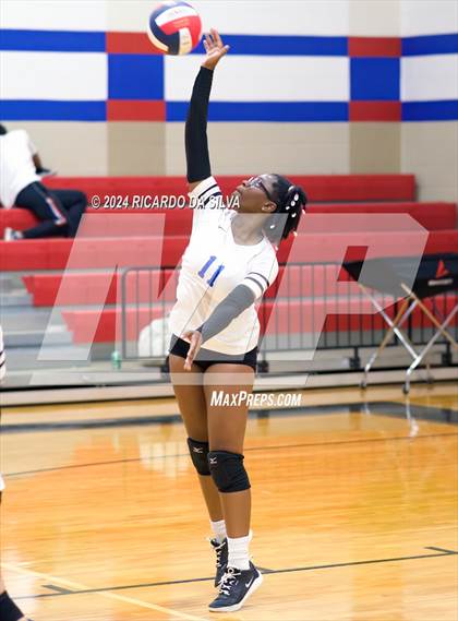 Thumbnail 3 in Royal vs Sealy photogallery.