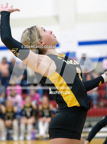 Thumbnail 2 in Royal vs Sealy photogallery.