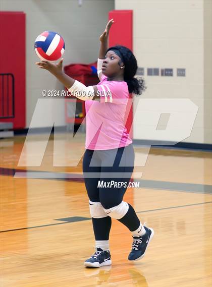 Thumbnail 1 in Royal vs Sealy photogallery.