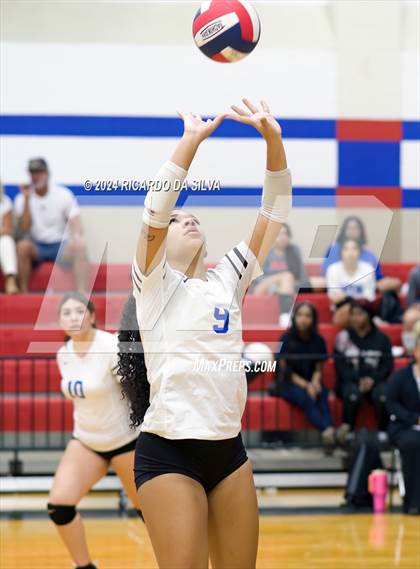 Thumbnail 2 in Royal vs Sealy photogallery.