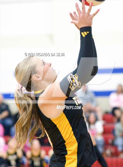 Thumbnail 1 in Royal vs Sealy photogallery.