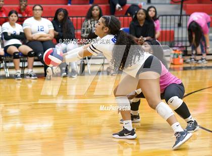 Thumbnail 3 in Royal vs Sealy photogallery.