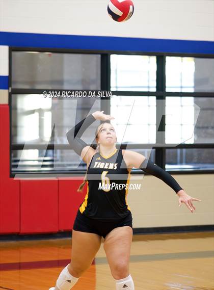 Thumbnail 3 in Royal vs Sealy photogallery.