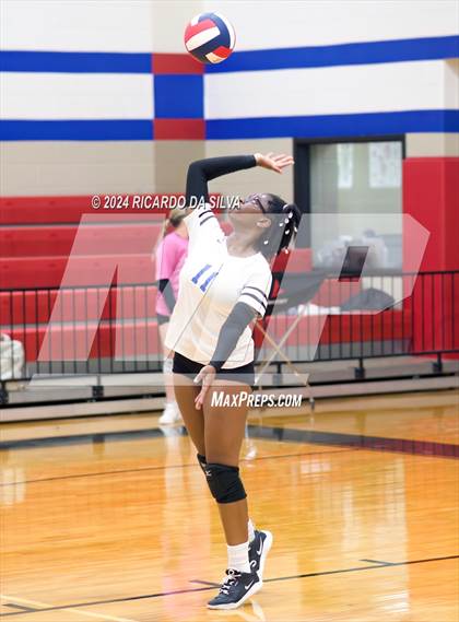 Thumbnail 3 in Royal vs Sealy photogallery.