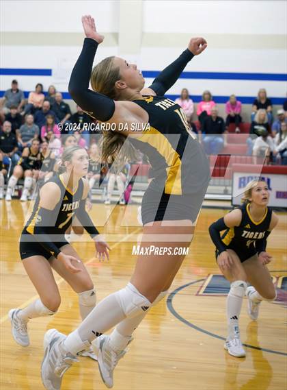 Thumbnail 2 in Royal vs Sealy photogallery.
