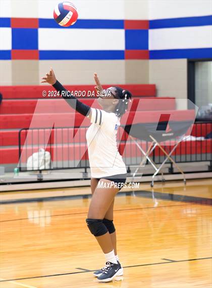 Thumbnail 2 in Royal vs Sealy photogallery.