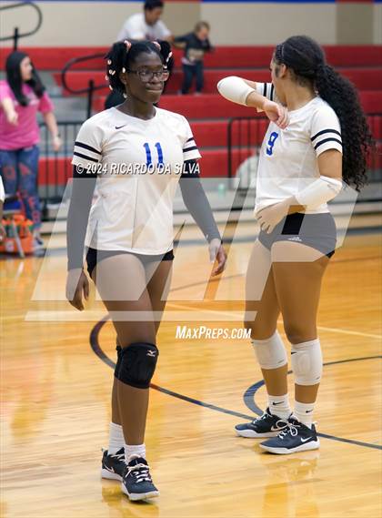 Thumbnail 1 in Royal vs Sealy photogallery.