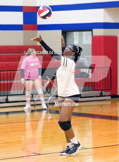 Thumbnail 2 in Royal vs Sealy photogallery.