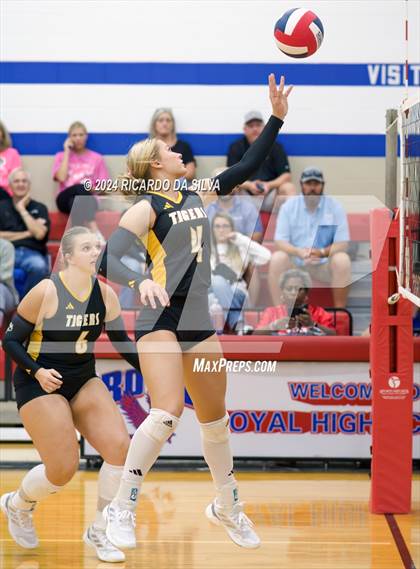 Thumbnail 3 in Royal vs Sealy photogallery.