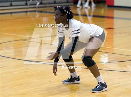 Thumbnail 1 in Royal vs Sealy photogallery.