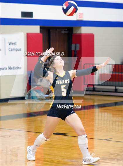 Thumbnail 1 in Royal vs Sealy photogallery.
