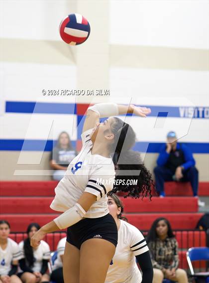 Thumbnail 2 in Royal vs Sealy photogallery.