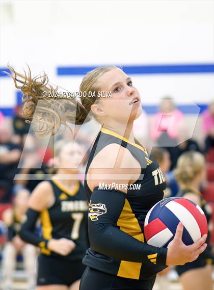 Thumbnail 2 in Royal vs Sealy photogallery.