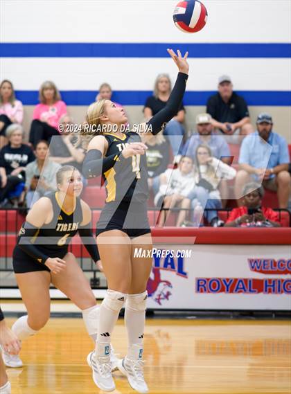 Thumbnail 2 in Royal vs Sealy photogallery.