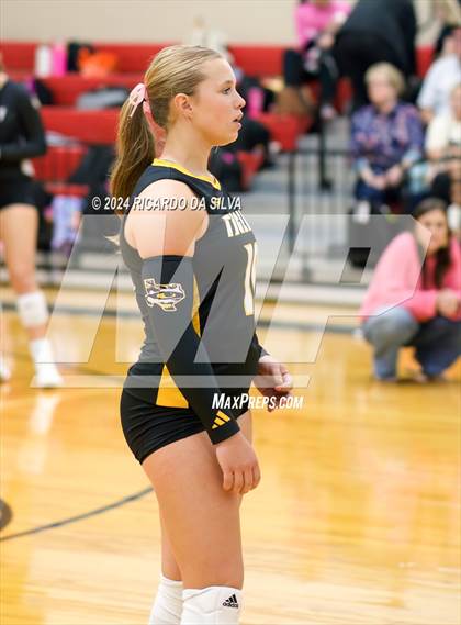 Thumbnail 3 in Royal vs Sealy photogallery.