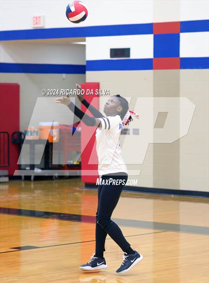 Thumbnail 1 in Royal vs Sealy photogallery.
