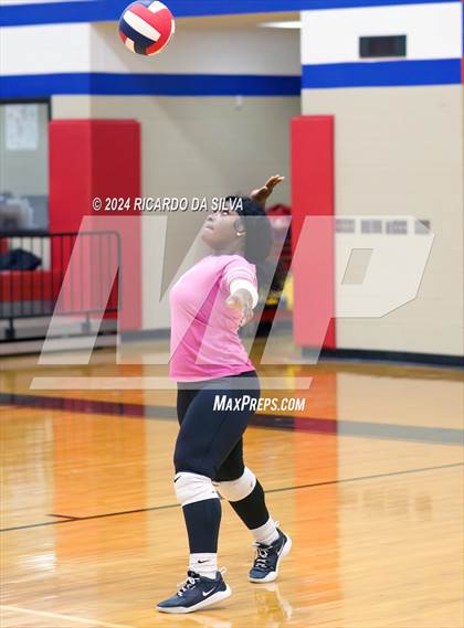Thumbnail 2 in Royal vs Sealy photogallery.