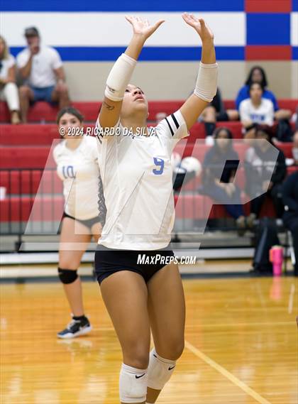 Thumbnail 1 in Royal vs Sealy photogallery.