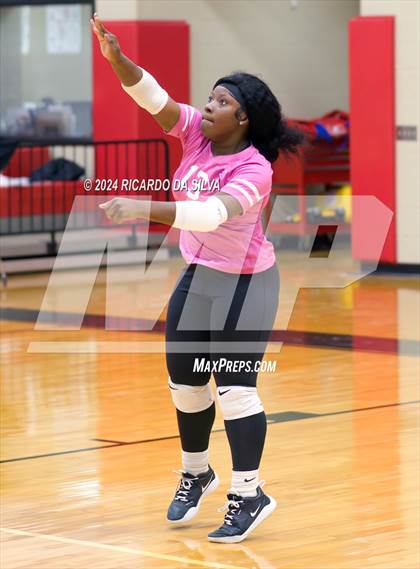Thumbnail 1 in Royal vs Sealy photogallery.