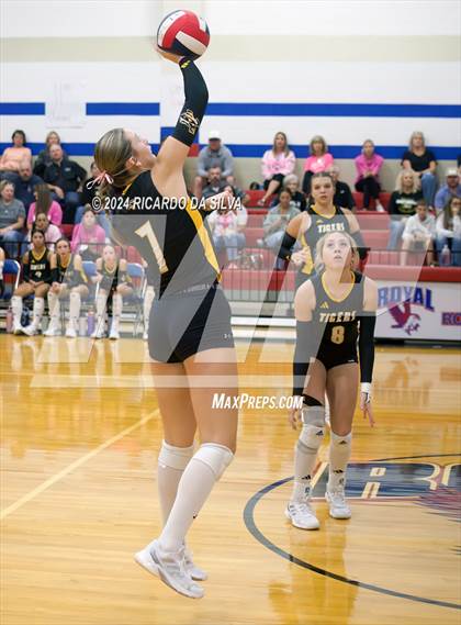 Thumbnail 3 in Royal vs Sealy photogallery.