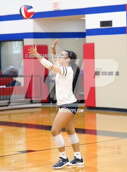 Thumbnail 3 in Royal vs Sealy photogallery.