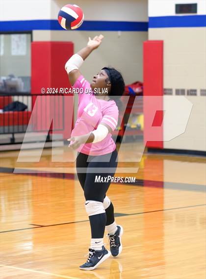 Thumbnail 3 in Royal vs Sealy photogallery.