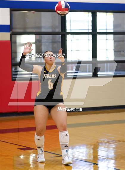 Thumbnail 3 in Royal vs Sealy photogallery.
