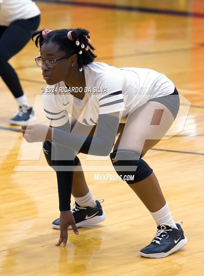 Thumbnail 3 in Royal vs Sealy photogallery.