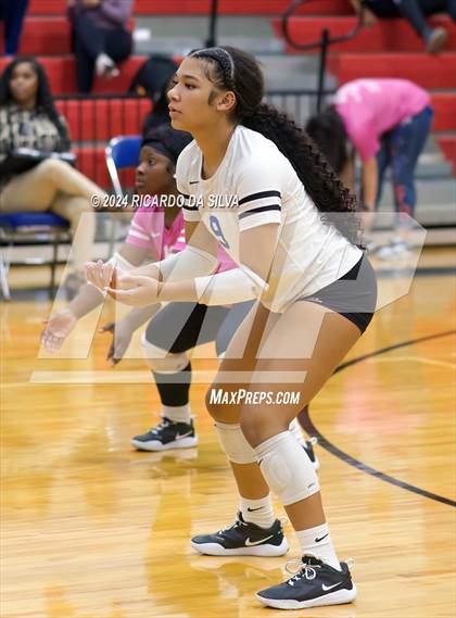 Thumbnail 2 in Royal vs Sealy photogallery.