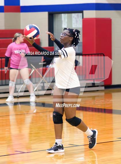 Thumbnail 1 in Royal vs Sealy photogallery.